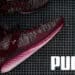 Puma Releases Ignite evoKNIT Fade