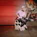 PUMA And Cara Delevingne Drop New Muse Satin II