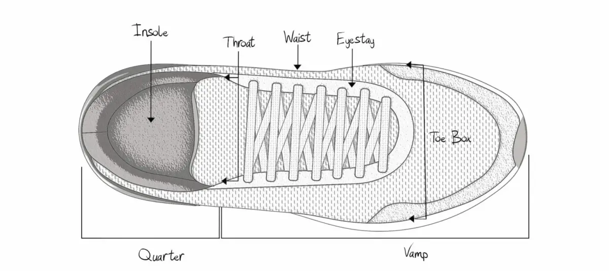 Anatomy of a sneaker