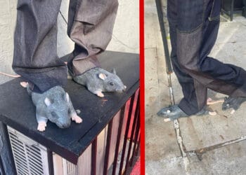 Imran Potato's Rat Slides Are The Next Big Sneaker / Shoe Trend