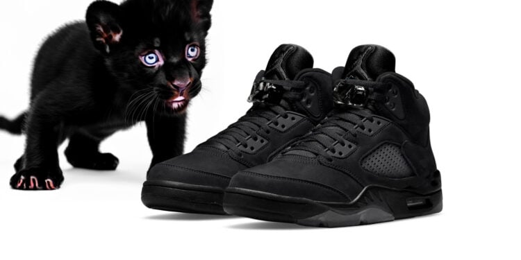 The Air Jordan 5 "Black Cat" Moves With Stealth