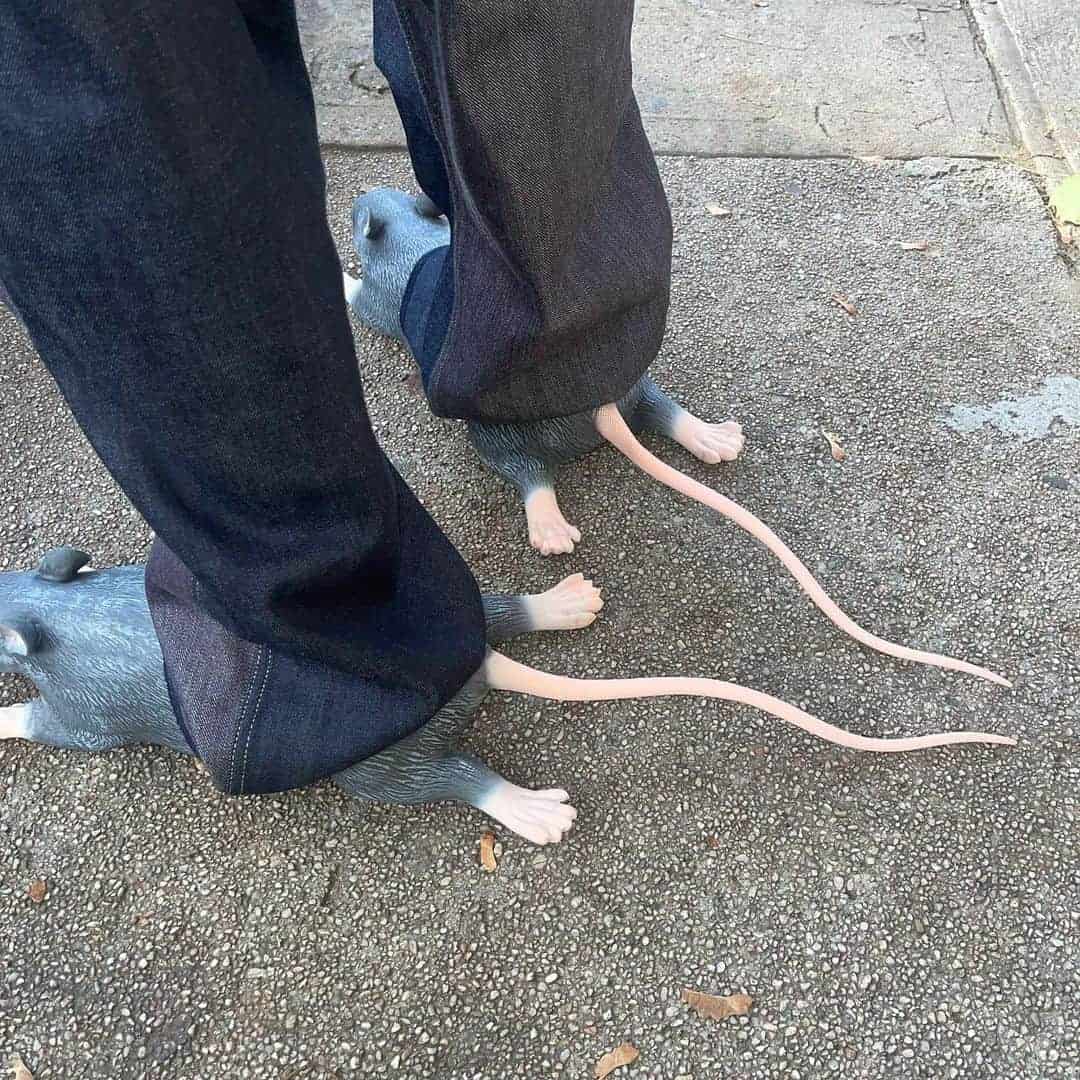 rat shoes