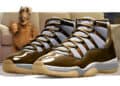 Air Jordan 11 "ALF"