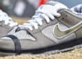 Concepts x Nike SB Dunk Low "Grey Lobster" 