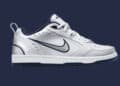 Nike SB "Air Monarch" Dunk Low 