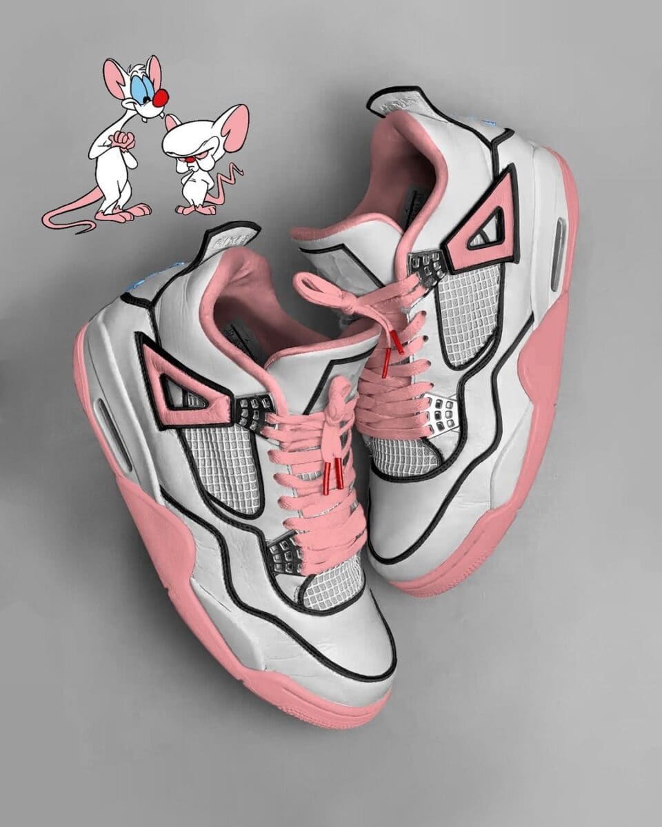 Animaniacs x Air Jordan 4 "Pinky And The Brain"