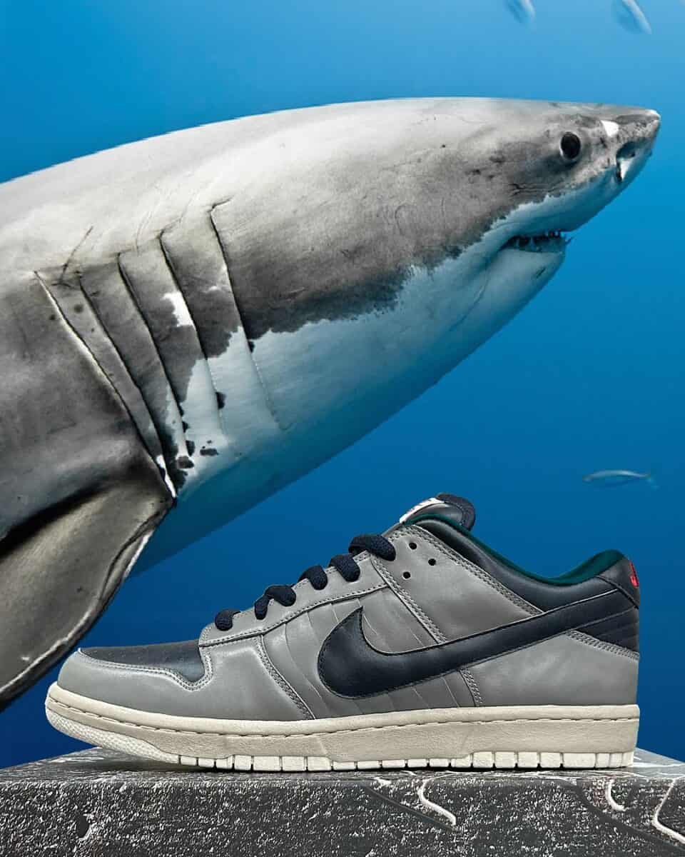 "Jaws” Nike SB Dunk Low