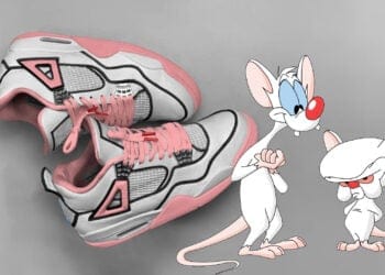 Animaniacs x Air Jordan 4 "Pinky And The Brain"