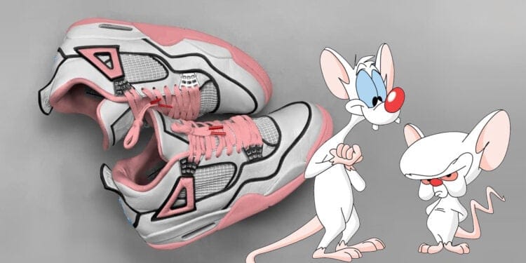 Animaniacs x Air Jordan 4 "Pinky And The Brain"