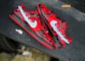 Nike Dunk Low Carnage