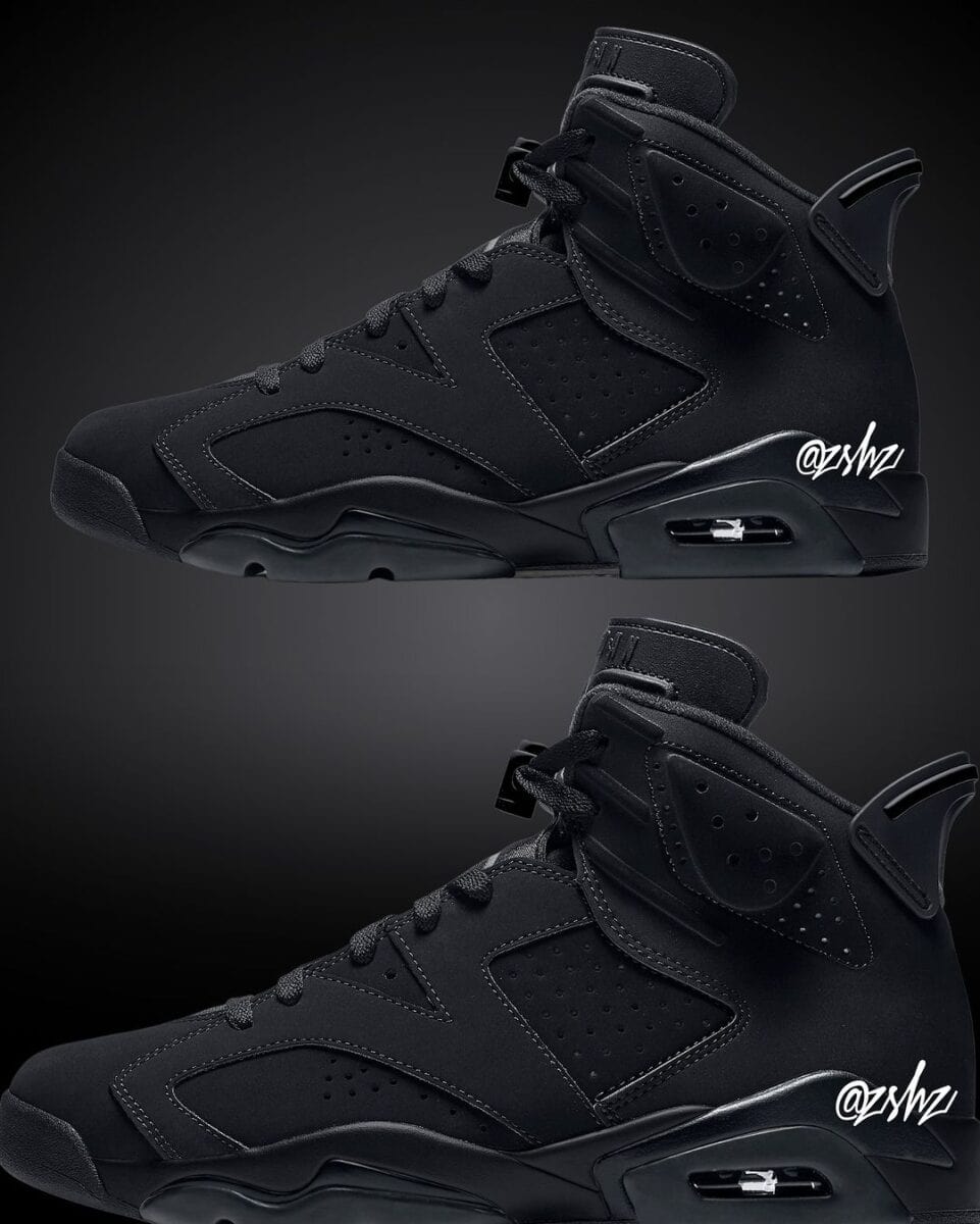 Air Jordan 6 "Black Cat"