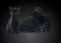 Air Jordan 6 "Black Cat"