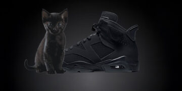 Air Jordan 6 "Black Cat"