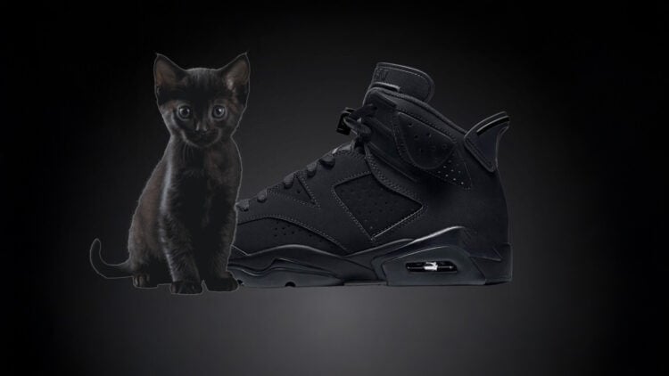 Air Jordan 6 "Black Cat"