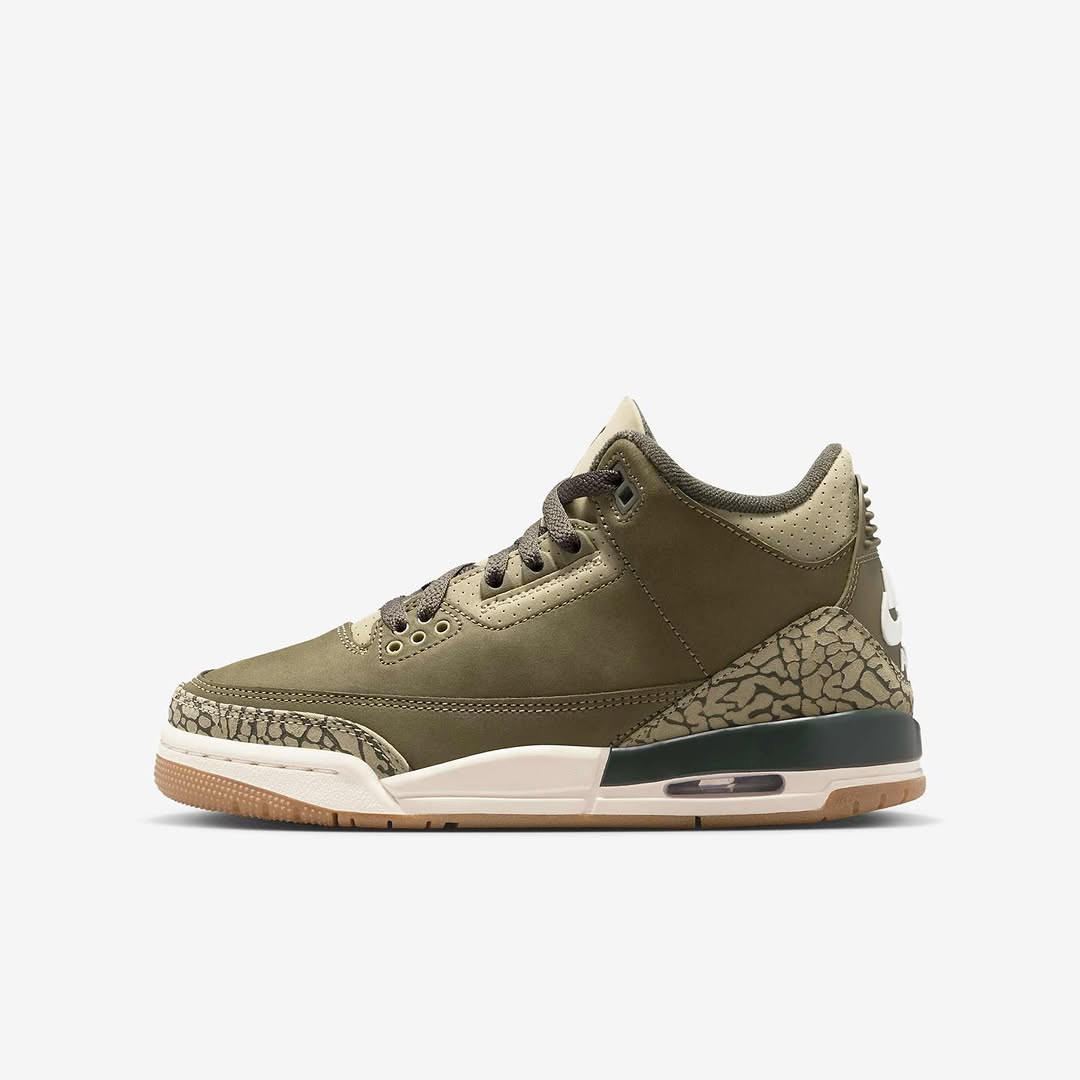 Air Jordan 3 “Family Affair”