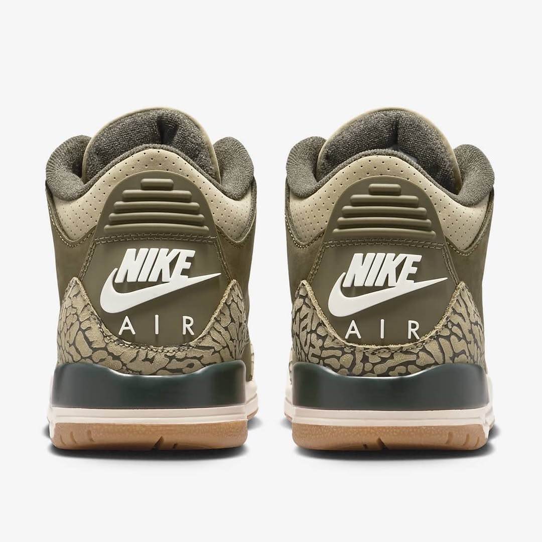Air Jordan 3 “Family Affair”