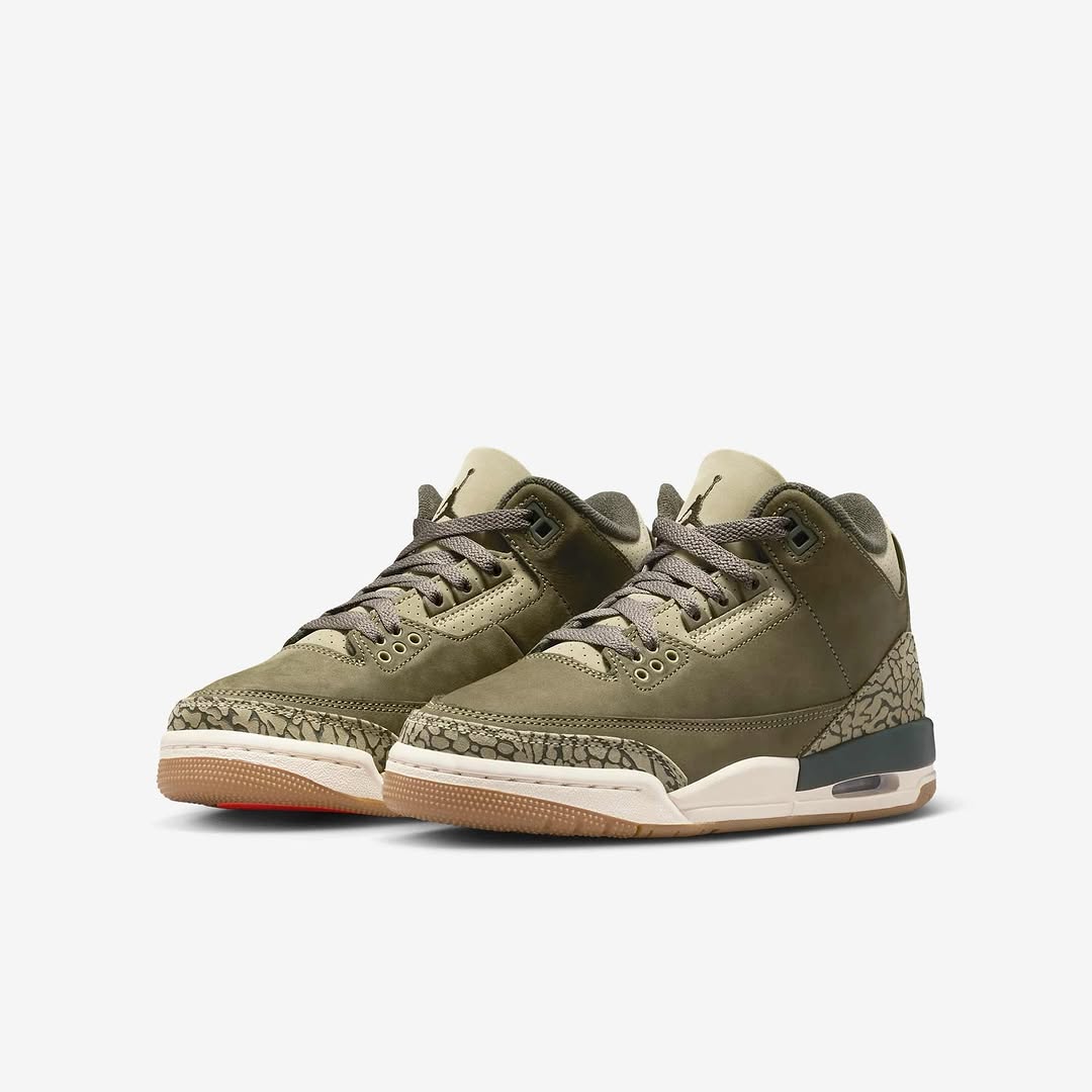Air Jordan 3 “Family Affair”
