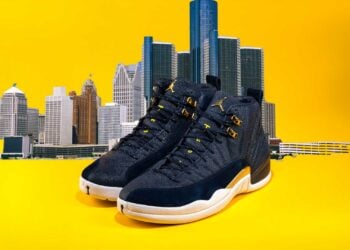 Air Jordan 12 Michigan PE