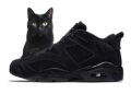 Air Jordan 6 Low "Blackout"
