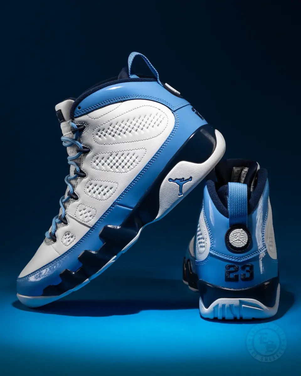 Air Jordan 9 UNC PE