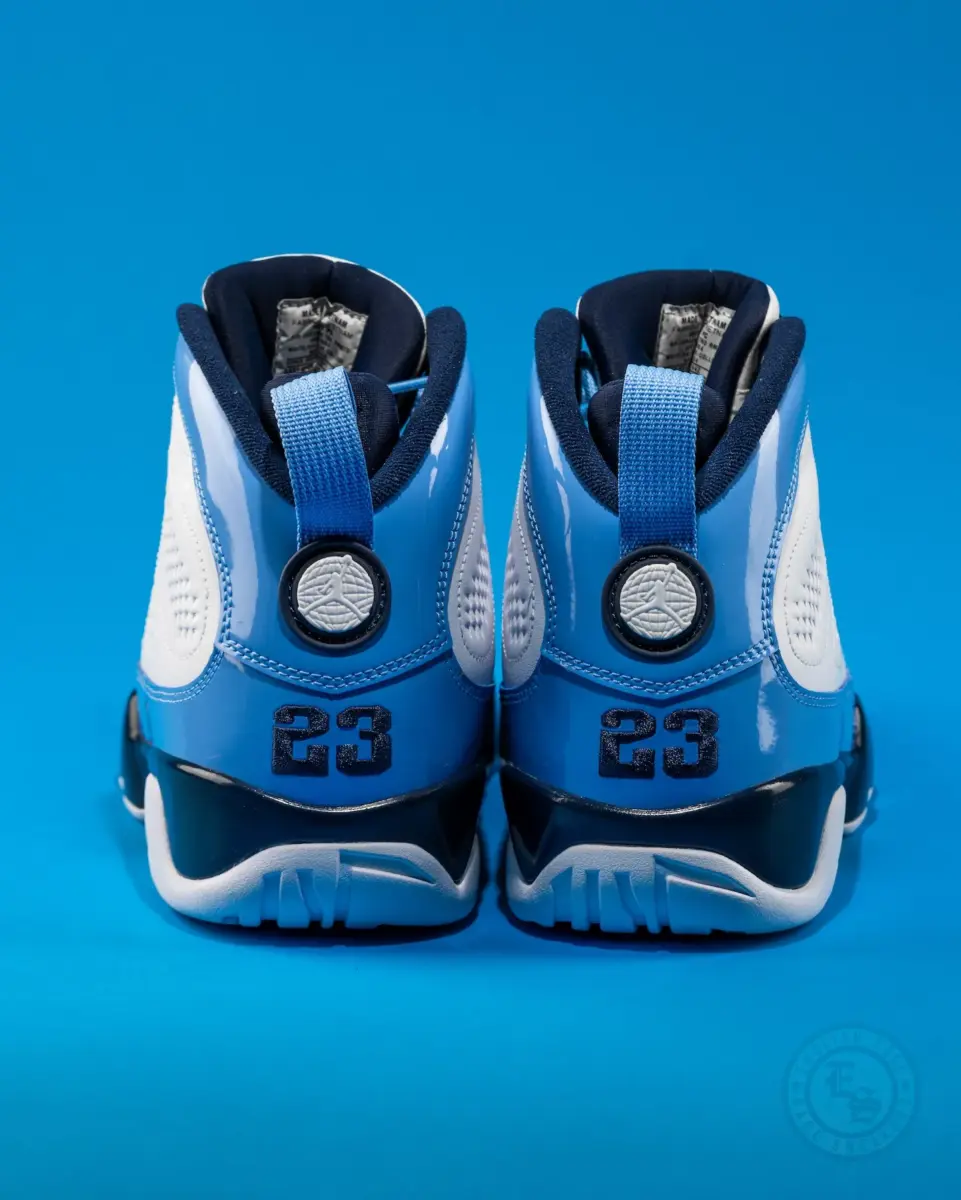 Air Jordan 9 UNC PE