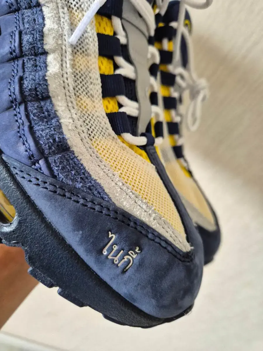 Eric Koston x Nike SB Air Max 95