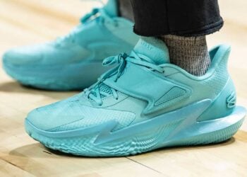 Curry Fox 2