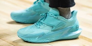 Curry Fox 2