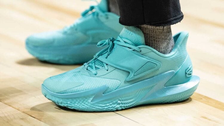 Curry Fox 2