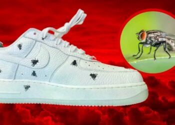 Nike Air Force 1 Low “Houseflies”