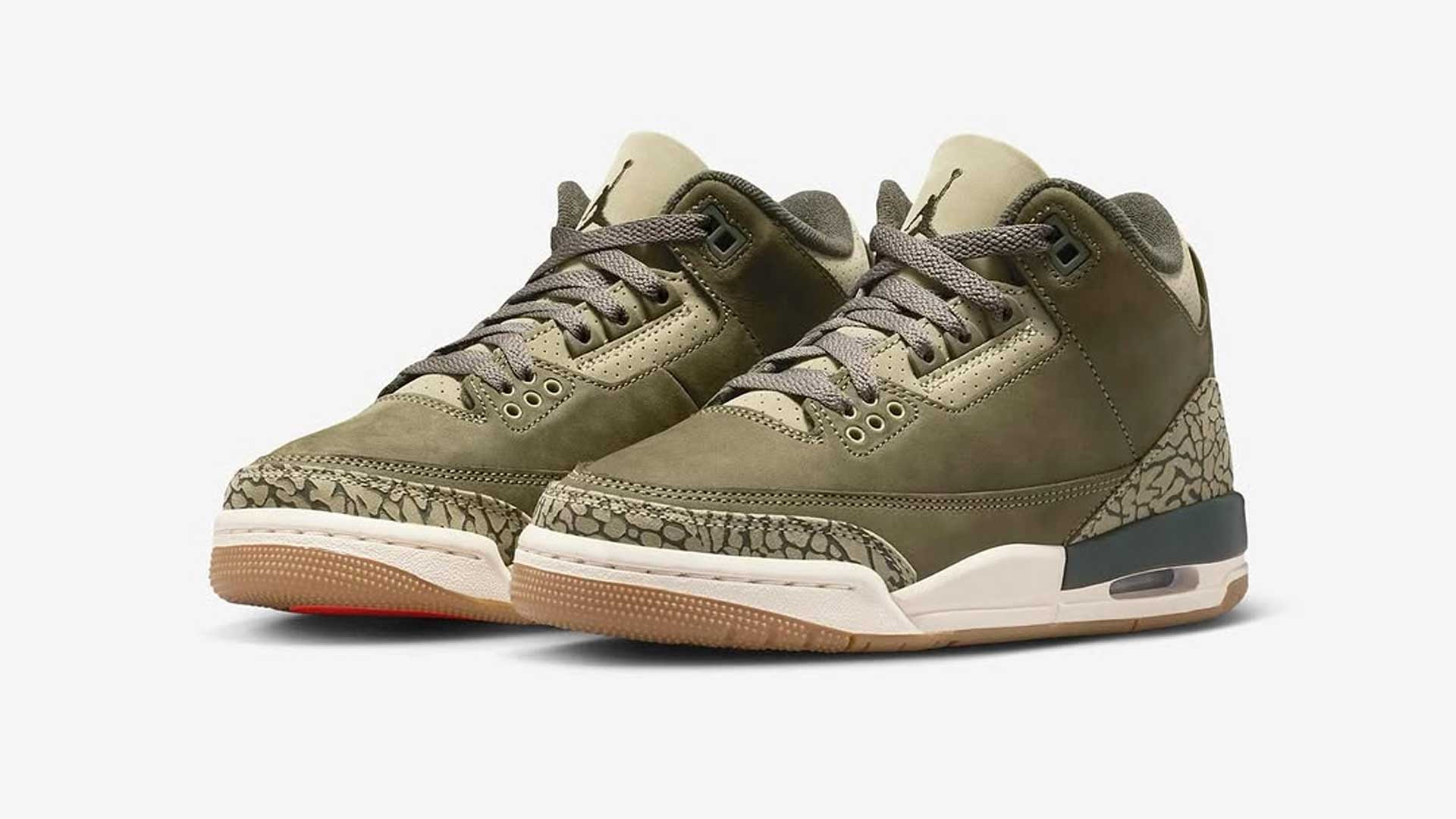 Air Jordan 3 “Family Affair”