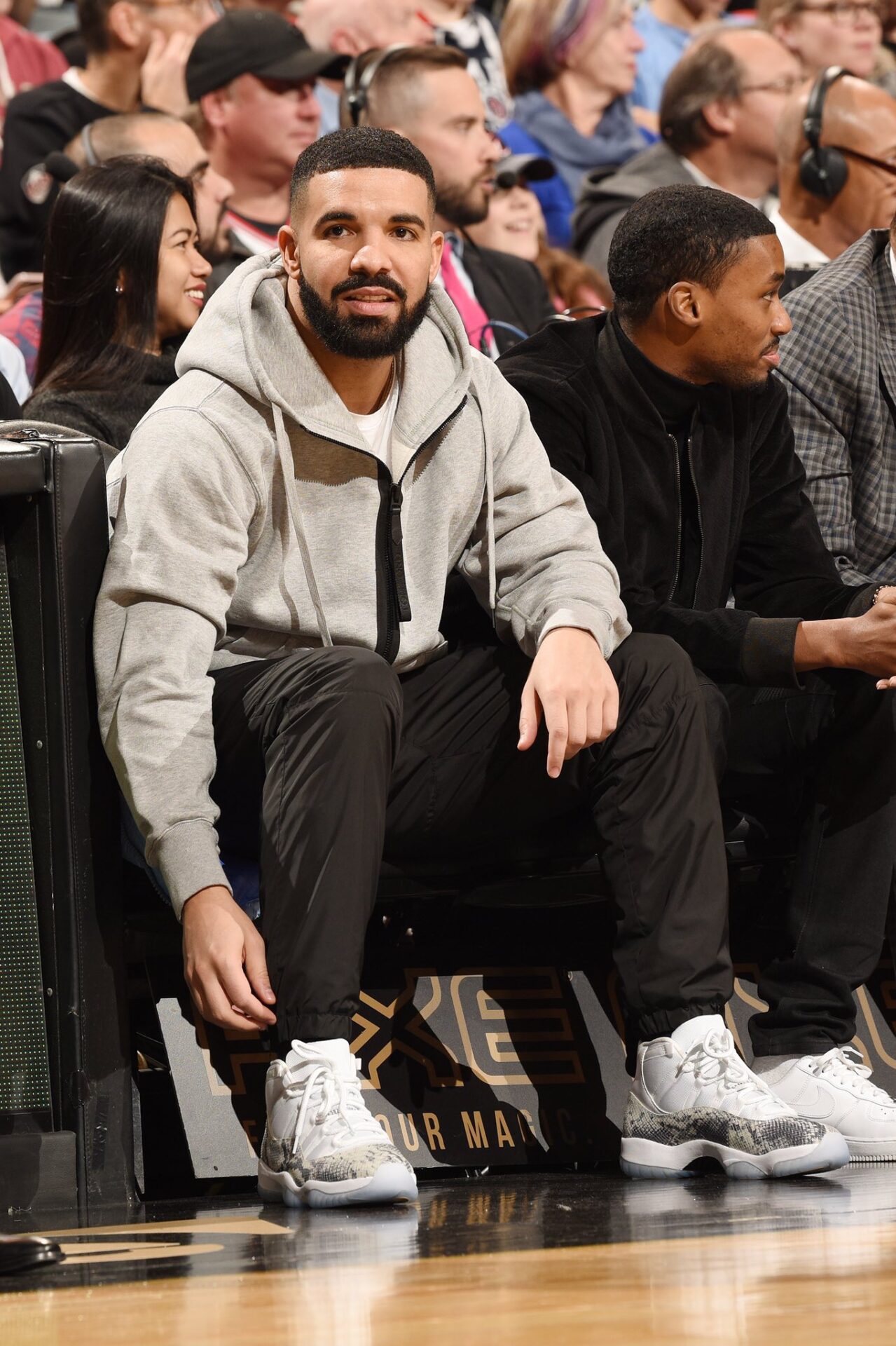 Drake Jordan 11 Snakeskin