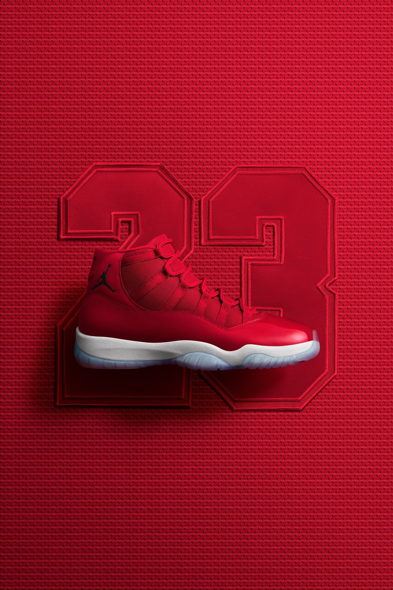 Air Jordan 11 "Win Like '96"
