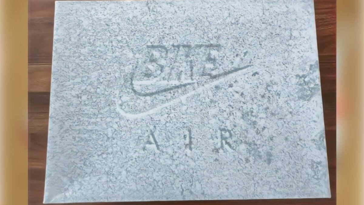 Nigel Sylvester Jordan 4 Bike Air Box